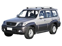 Коврики из экокожи 3D Hyundai Terracan 2001-2006